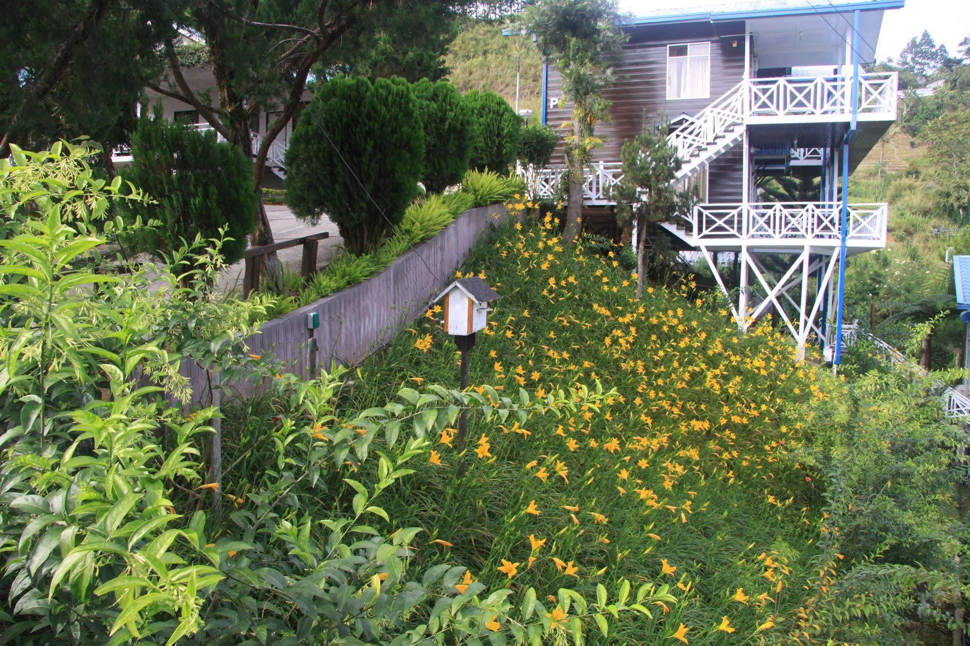 Kinabalu Pine Resort Kampong Kundassan Kültér fotó